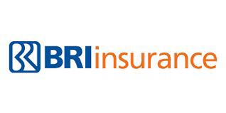 BRI Insurance